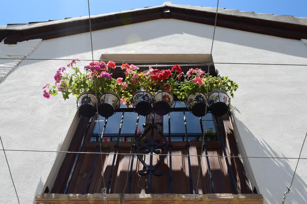 Carmen De Ramilla, Encantadora Guesthouse Con Piscina Soleada Γρανάδα Εξωτερικό φωτογραφία