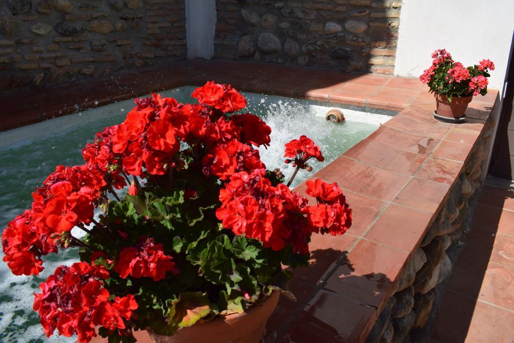 Carmen De Ramilla, Encantadora Guesthouse Con Piscina Soleada Γρανάδα Εξωτερικό φωτογραφία