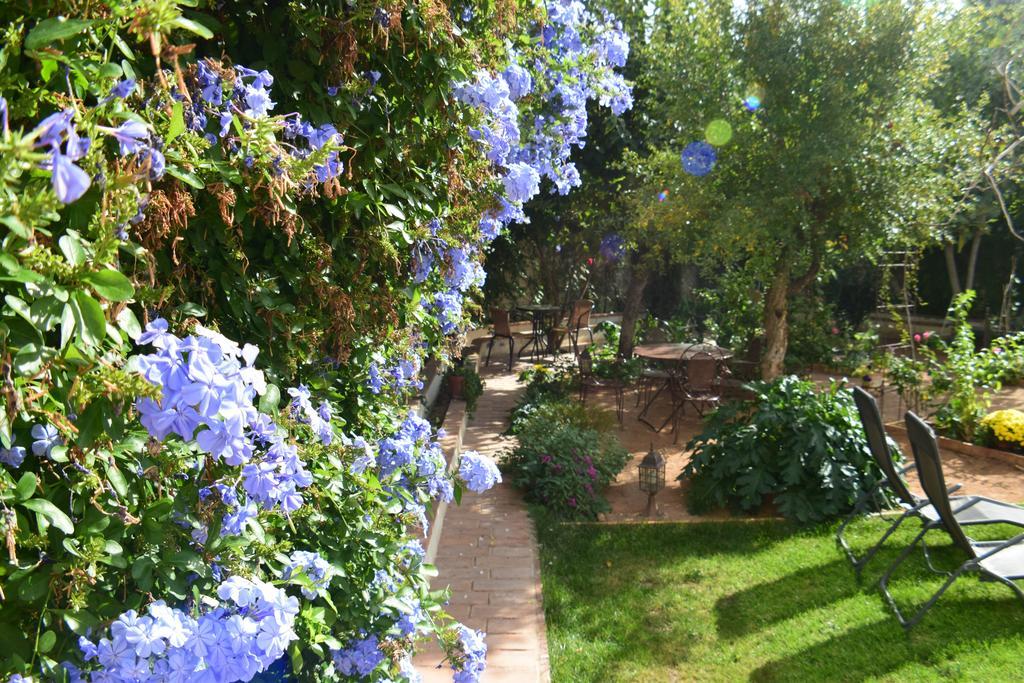 Carmen De Ramilla, Encantadora Guesthouse Con Piscina Soleada Γρανάδα Εξωτερικό φωτογραφία