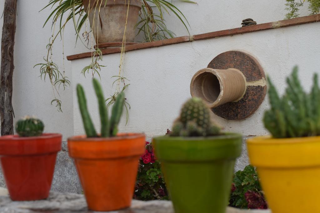 Carmen De Ramilla, Encantadora Guesthouse Con Piscina Soleada Γρανάδα Εξωτερικό φωτογραφία